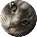Josephine Finocchiaro profile picture